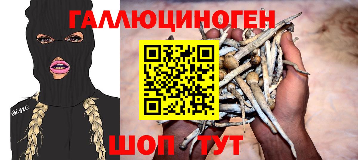 Псилоцибиновые грибы Psilocybe Ливны